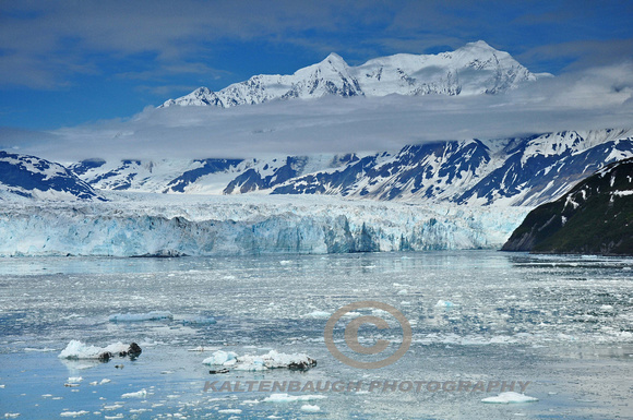 DSC_0124 Hubbard Glacier