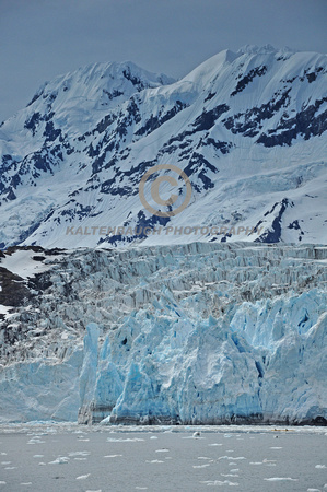 DSC_0422 Surprise Glacier,Barry Arm, Alaska