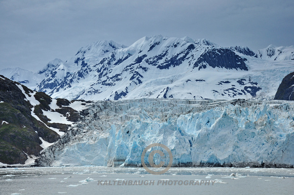 DSC_0434 Surprise Glacier,Barry Arm,Alaska