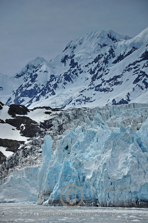 DSC_0452 Surprise Glacier,Barry Arm,Alaska