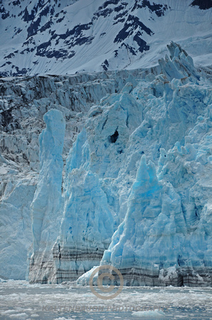 DSC_0479 Surprise Glacier,Barry Arm,Alaska