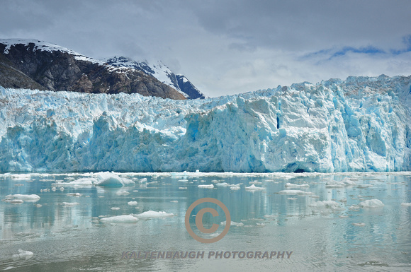 DSC_0481 (2) Tracy Arm,Sawyer Glacier, Alaska