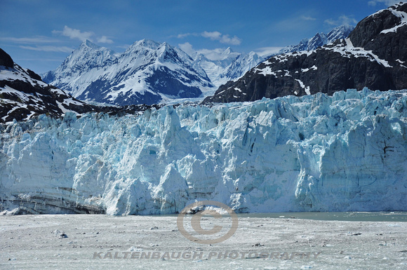 DSC_0512 Margerie Glacier, Glacier Bay NP