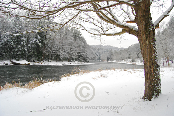 Winter - River Seasons #2
