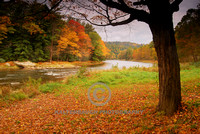 Fall - River Seasons #2