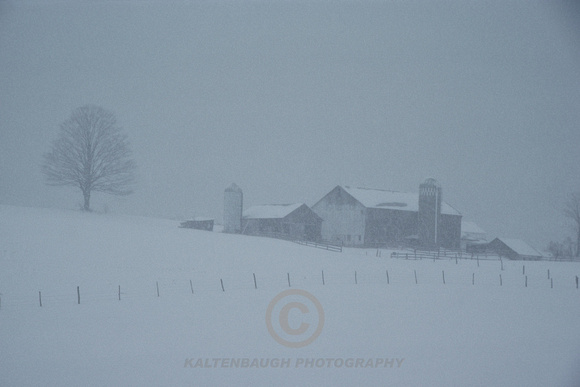 Farm in snowstrom